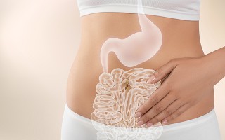 Mikrobiom und Allergien: Zusammenhang besser verstehen