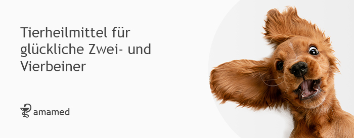 Tiergesundheit