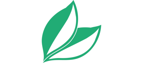 Paracelsus Apotheke Berliner Platz apotheke logo